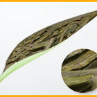 Organic Green Dragonwell from T-Buds The Uptown Tea Lounge