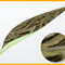 Organic Green Dragonwell from T-Buds The Uptown Tea Lounge