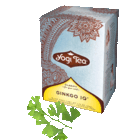Ginkgo IQ from Yogi Tea