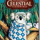 Echinacea Complete Care from Celestial Seasonings