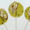 Matcha Green Tea with Toasted Almonds and Pear - Lollipop from The Groovy Baker