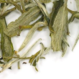Snowbud from Adagio Teas