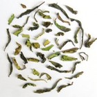 2011 Darjeeling First Flush Giddapahar China Special Black Tea from DarjeelingTeaXpress