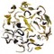 2011 Darjeeling First Flush Gopaldhara Wonder Tea from DarjeelingTeaXpress
