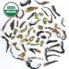 Darjeeling Second Flush Makaibari Bio-Dynamic Organic Black Tea from DarjeelingTeaXpress