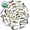 Darjeeling Second Flush Makaibari Bio-Dynamic Organic Black Tea from DarjeelingTeaXpress