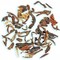 DarjeelingTeaXpress Special Himalayan Second Flush Black Tea from DarjeelingTeaXpress