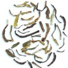 DarjeelingTeaXpress Special Kangra Wah Second Flush Black Tea from DarjeelingTeaXpress