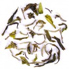 2011 Darjeeling First Flush Thurbo White Delight from DarjeelingTeaXpress
