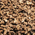 Red Ginseng Head from Unknown