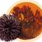 Midnight Peony from Numi Organic Tea
