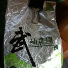 San Lin She Unroasted 2011 Spring from Wu Siou Nature Farm