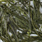 108th Nights Shincha Umegashima from Den's Tea