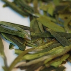 Dragonwell Style Laoshan Green from Verdant Tea