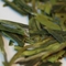 Dragonwell Style Laoshan Green from Verdant Tea
