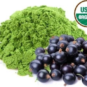 Brazilian Acai Matcha from Red Leaf Tea