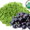 Brazilian Acai Matcha from Red Leaf Tea