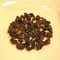 Aged Oolong from Tillerman Tea