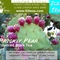 Prickly Pear Flavored Black (Iced Tea Series) from 52teas