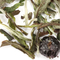 White Blueberry from Adagio Teas