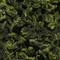 Shen Yun Tie Guan Yin from TeaSpring