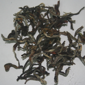 Castleton Moonlight DJ-146/2nd Flush 2011 from Tea Emporium