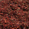 Chocolate Mint Rooibos from Utopia Tea