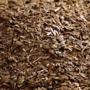 Roasted Mate from DAVIDsTEA