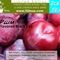 Plum Flavored Black Tea (Iced Tea Series) from 52teas