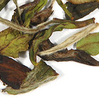 White Cucumber from Adagio Teas