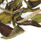 White Cucumber from Adagio Teas