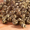 Jasmine Pearls from Sterling Tea