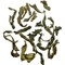 Rou Gui (Wu Yi Oolong) from Tao Tea Leaf