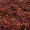 Chocolate Mint Rooibos by Utopia Tea from Utopia Tea