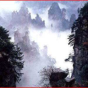 Yellow Mountain Golden Spears, Huangshan Mao Feng from Imperial Teas of Lincoln