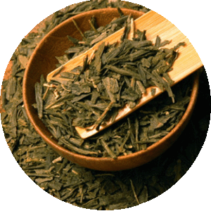 Bancha from T Salon