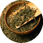 Bancha from T Salon