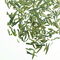 Organic Dragonwell from Teaopia