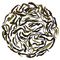 2011 Himalayan First Flush from Rishi Tea