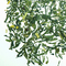 Japanese Cherry from Teaopia