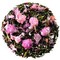 Sakura Sencha from Wegmans