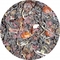 Organic Plum Oolong from Tea District