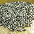 2011 Spring Organic Imperial Organic Jasmine Dragon Pearl from JK Tea Shop Online
