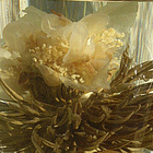 Riches and Honor from Alice's Fine Teas
