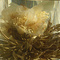 Riches and Honor from Alice's Fine Teas