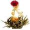 Golden Treasure from Tea Needs