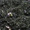 Decaffeinated Earl Grey Cream from Utopia Tea