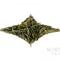 Gu Zhu Zi Sun 2011 Spring Zhejiang green tea from Norbu Tea