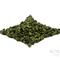Shade Grown Tie Guan Yin - 2011 Spring Anxi Oolong Tea from Norbu Tea