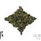 Tsou Ma Fei - 2011 Spring Ali Shan Oolong Tea from Norbu Tea